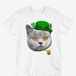 st patrick's day kitty